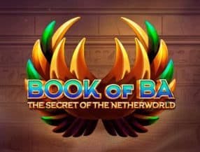 netbet casino login